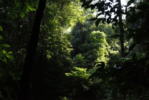 J3 Sentier Molokoï, mon premier paysage