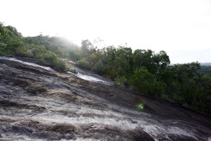 J9 Tout en haut de l'Inselberg